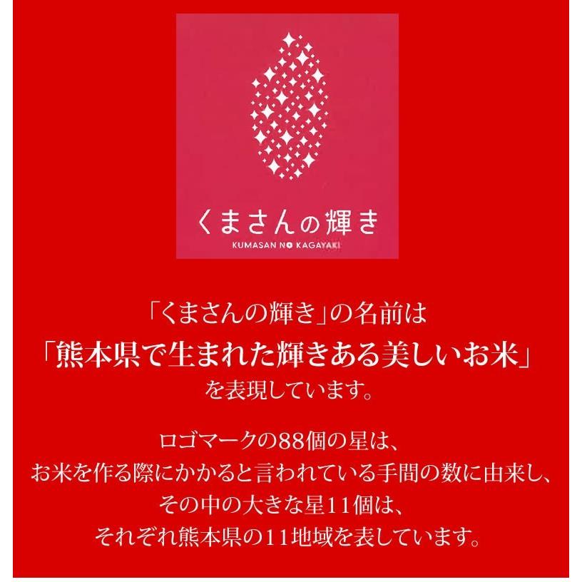 くまさんの輝き 無洗米 送料無料 計900g（300g×3袋） お試し 令和5年産 熊本県産 お米 白米 玄米 コシヒカリ ヒノヒカリ 森のくまさん