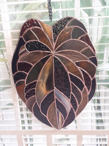 紅掌葉彩色玻璃捕光器，黑鳳凰彩色玻璃多肉植物