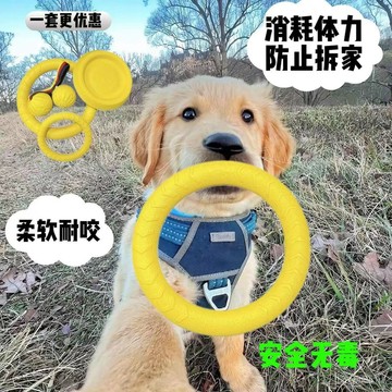 ✨台灣出貨-全新保真✨狗狗訓練飛盤狗玩具耐咬磨牙邊牧金毛柯基訓狗球訓狗球帶專用