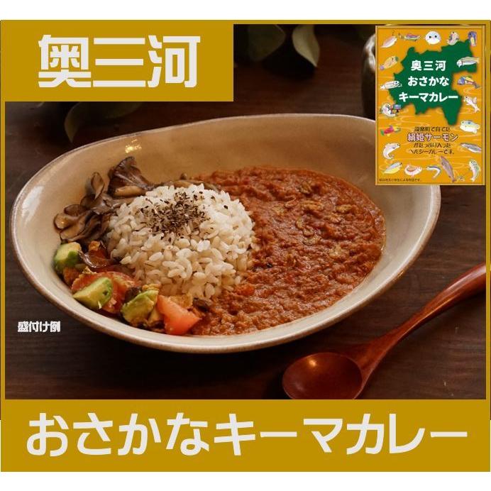 奥三河おさかなキーマカレー　ご当地レトルトカレー　絹姫サーモン入り