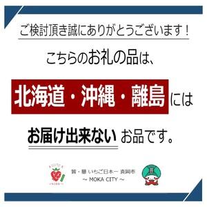 ふるさと納税 幻のイチゴ とちひめ 600g 栃木県真岡市