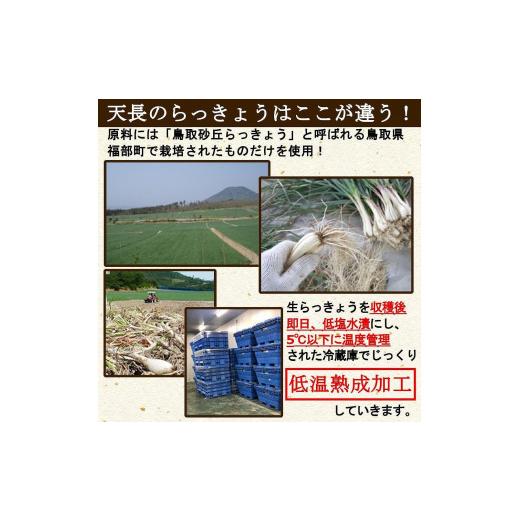 ふるさと納税 愛知県 稲沢市 ふぞろいらっきょうピリ辛漬け 190gｘ20袋