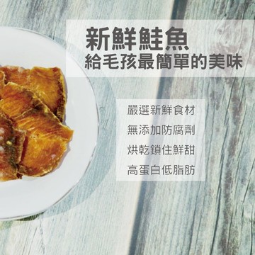 零食系列 鮭魚肉排