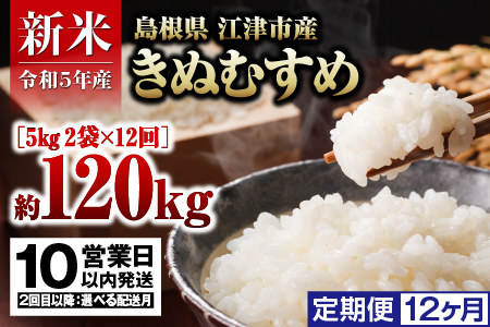  島根県 江津市産 邑智郡産 きぬむすめ 10㎏×12回令和5年産 新米 白米