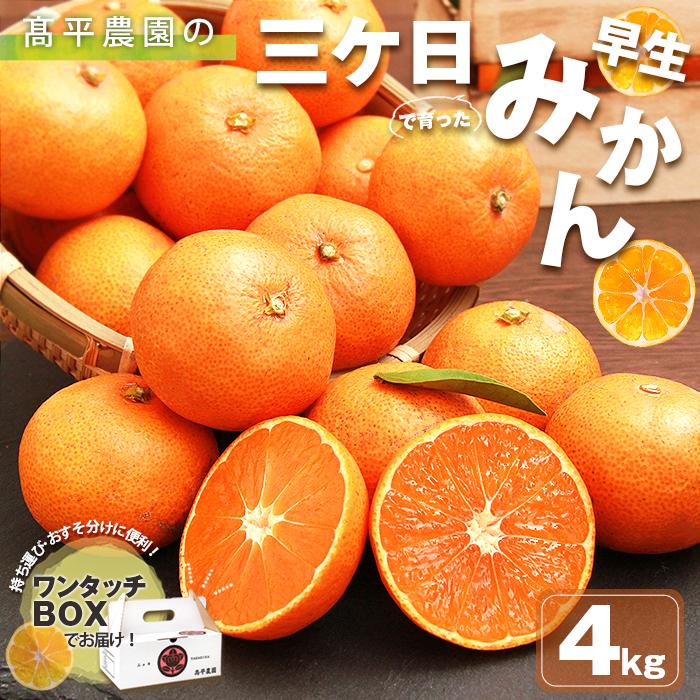 みかん 三ヶ日 4kg ミカン 4キロ mikan 高平農園 三ケ日 静岡産 農家直送 産地直送 早生 青島 フルーツ プレゼント お歳暮 ギフト お年賀 小玉 小粒 s mサイズ