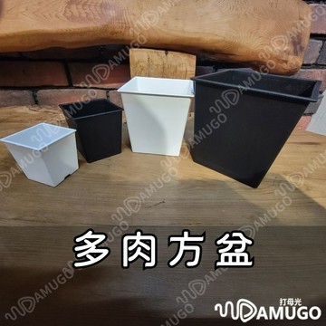 多肉花盆 花盆 多肉盆 塊根盆 方盆 四方盆 塑膠方盆