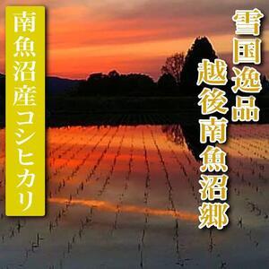 ふるさと納税 雪国逸品 越後南魚沼郷 南魚沼産コシヒカリ 新潟県南魚沼市