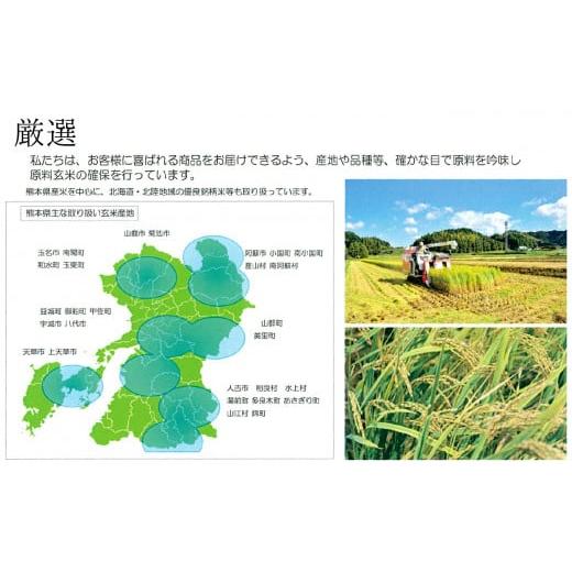 ふるさと納税 熊本県 和水町 令和5年産 無洗米 南関郷のお米 「ひのひかり」10kg 熊本県産