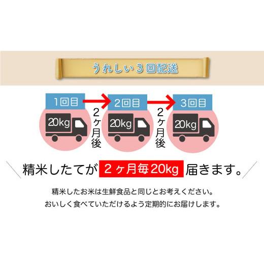 令和5年産 コシヒカリ  定期便 60?（20kg×2カ月間隔で3回お届け） ＜配送時期指定可＞ 山形県 戸沢村