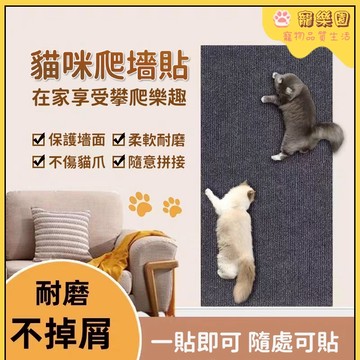 🔥現貨熱賣🚀 自粘貓爬墊 貓抓貼 貓咪玩具 小貓磨爪神器 耐磨不掉屑 沙發墻面保護貼 貓抓板 隨意剪貼 多功能貓攀爬墻貼