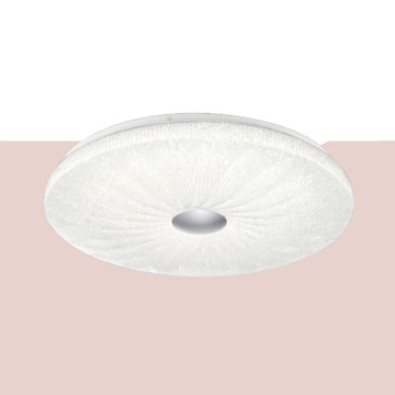 LED48W 無極調光遙控吸頂燈 F37-21-9169C