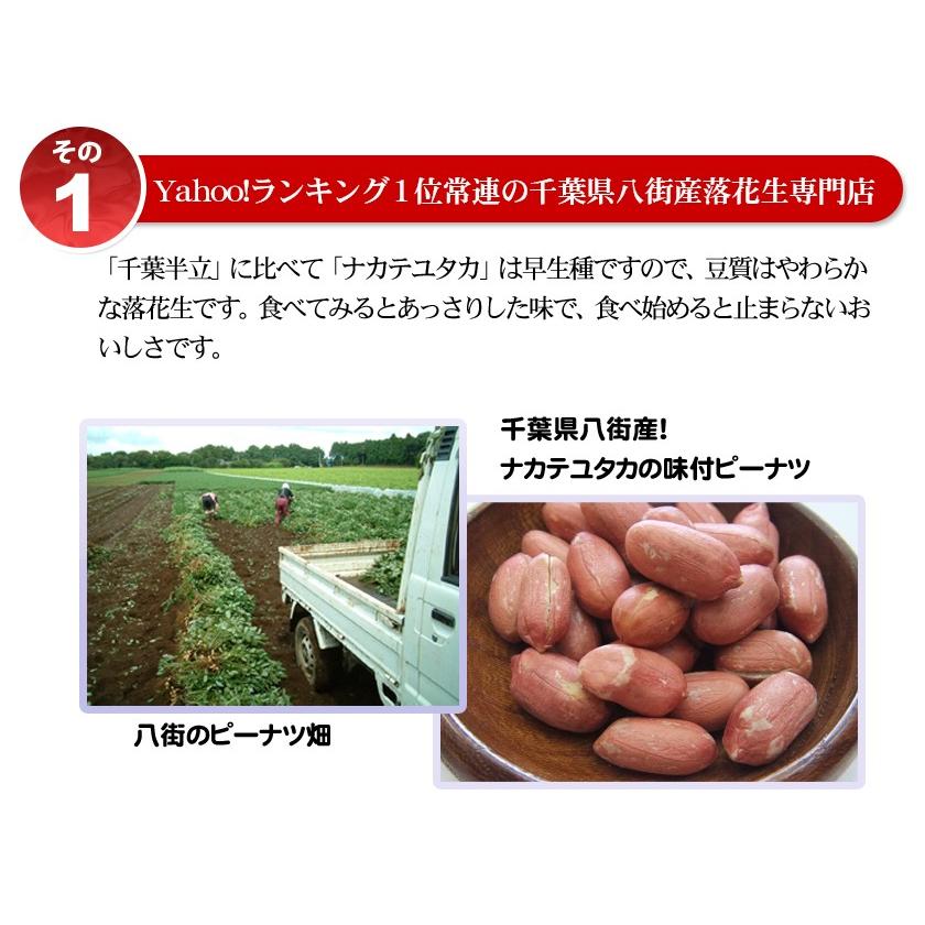 2023年度産 新豆 味付(ナカテユタカ)450g 千葉県産八街落花生