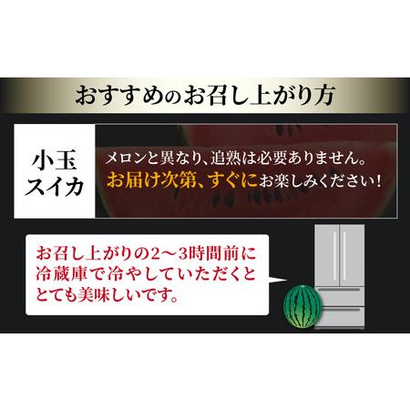 ふるさと納税 小玉スイカ ピノガール 2玉（計3.6kg〜6kg）／福井県 あわら市 フルーツ 夏 果物 西瓜  秀品 農家直送 有機肥料 低.. 福井県あわら市