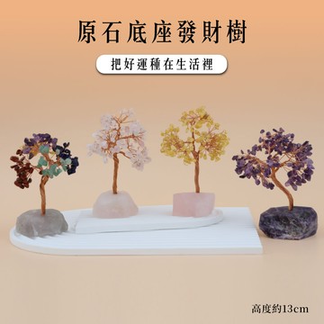 【現貨+預購】天藍小舖-原石底座發財樹-共4色-【A31310039】