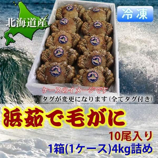 北海道産 毛がに 送料無料 まとめ買い ギフト 北海道で水揚げされた 浜ゆで毛がに かに   蟹   カニ 北海道産の毛蟹 10尾入 1ケース 4kg