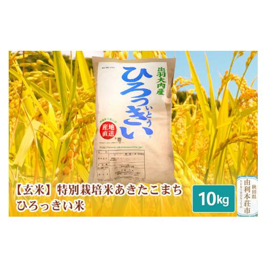 ふるさと納税 秋田県 由利本荘市  秋田県産 あきたこまち 10kg 令和5年産 特別栽培米 ひろっきい米