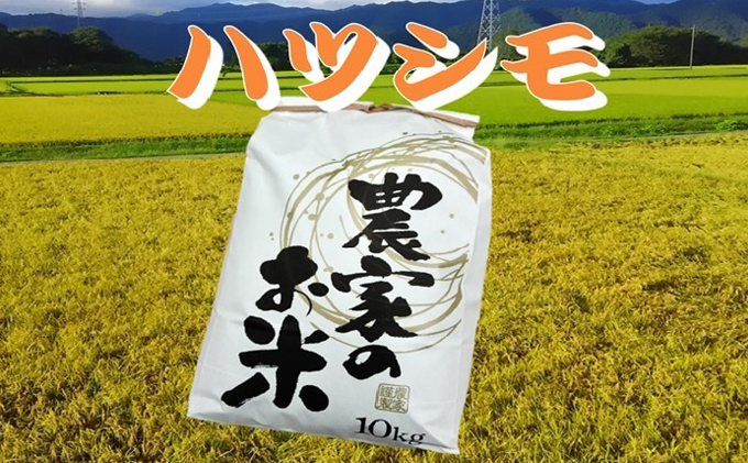 池田町農家　令和5年産特別栽培米ハツシモ　10kg×2　白米