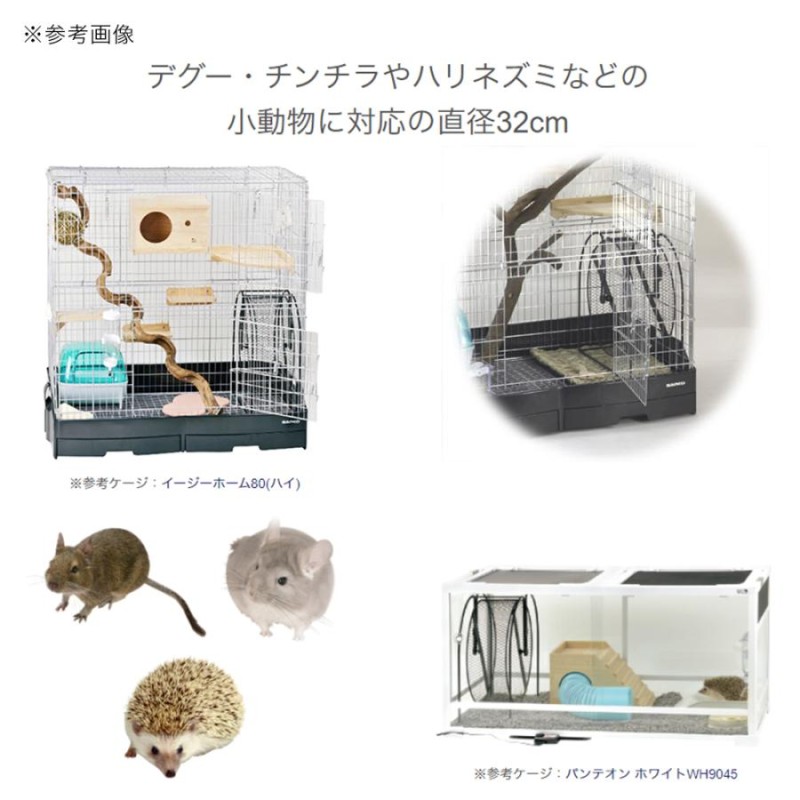 小動物 チンチラ、フェレットなど