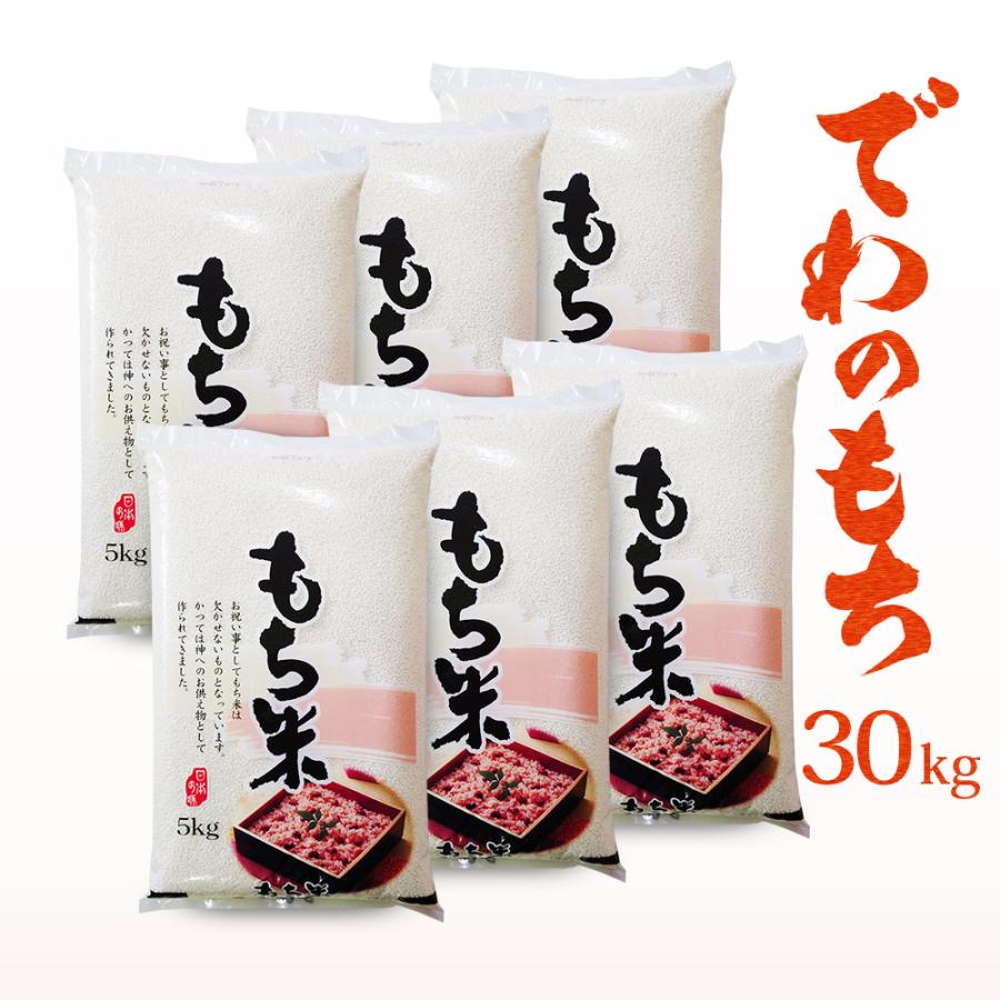 山形県産　令和5年産　もち米100％　(5kg×6)　でわのもち　30kg　LINEショッピング