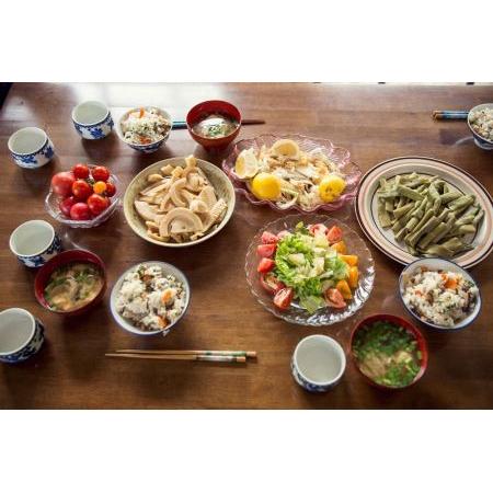 ふるさと納税 旬の野菜の詰め合わせと農薬不使用の生姜200g付き 高知県香美市