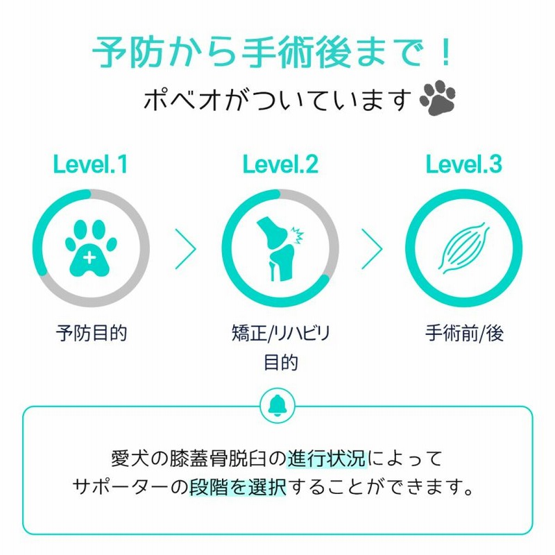 超目玉】 poveo ポベオ膝蓋骨 パテラ サポーター レベル2左脚XSサイズ