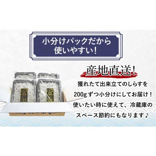 ふるさと納税 徳島県 小松島市 釜揚げ しらす 800g 国産 徳島県産 和田島産 とれたて 新鮮 産地直送 冷蔵 発送 小分け 200g 4袋 セット 和田島しらす ちりめん…