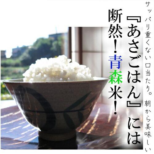 新米 米 青森県産 5年産 つがるロマン 白米2kg レターパック 安い  精米 送料無料