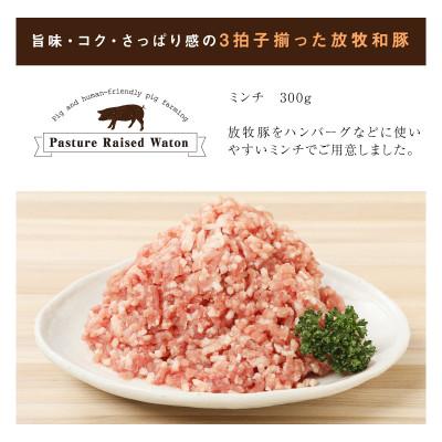 ふるさと納税 木城町 《放牧和豚》300g ミンチ