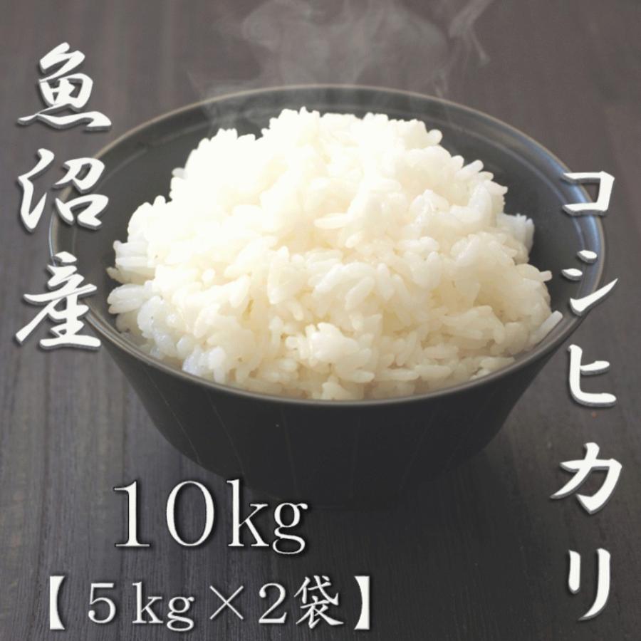 新米 新潟県魚沼産コシヒカリ 5kg×2個 合計10kg