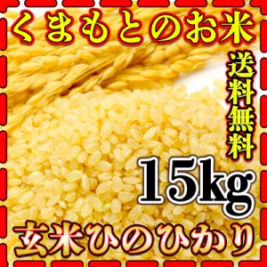 お米 米 15kg 玄米 送料無料 熊本県産 ひのひかり 新米 令和5年産 ヒノヒカリ あす着 5kg3個 くまもとのお米 富田商店 とみた商店