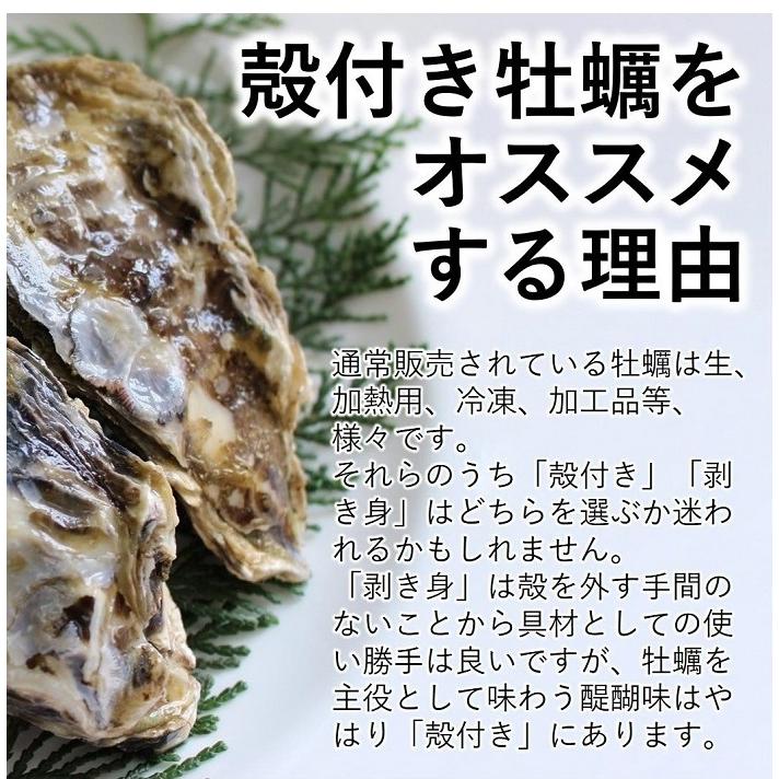 かき 加熱用 みちのく三陸産 殻付き牡蠣 10kg 産地直送 カキ バーベキュー パーティー 焼く 煮る 揚げる 等様々なお料理に