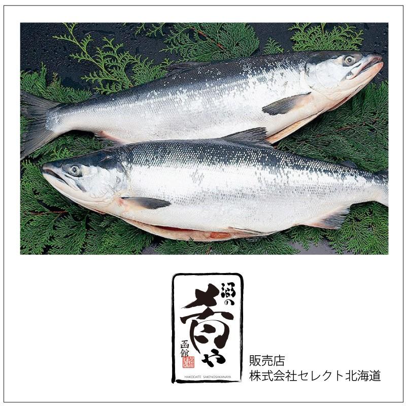 北洋産 甘塩紅鮭「姿」ロシア産 1尾 約2kg 送料無料 焼き魚 おかず 紅鮭 サーモン ギフト