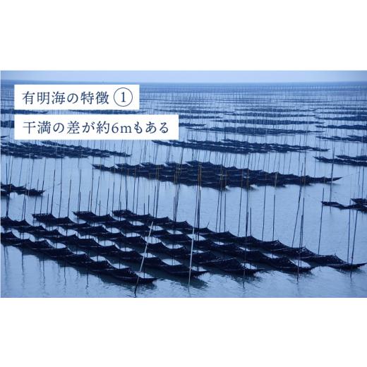 ふるさと納税 佐賀県 吉野ヶ里町 ＜塩のり3回定期便＞佐賀海苔ボトル（8切56枚）2本セット 株式会社サン海苔 吉野ヶ里町 [FBC034]