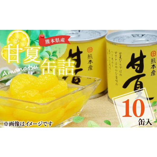 ふるさと納税 熊本県 水俣市  甘夏 缶詰 295g×10缶 果物 柑橘 フルーツ