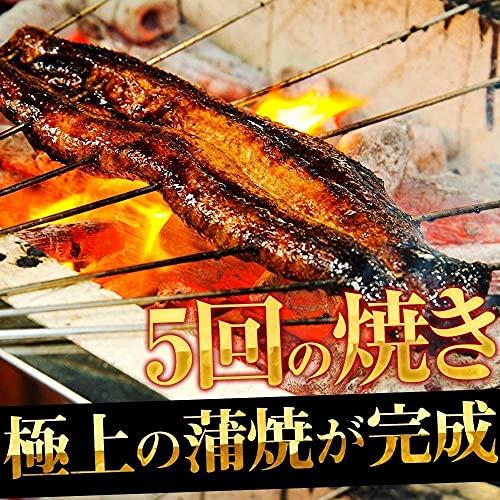 ますよね にほん うなぎ蒲焼き 約400g(200g前後×2本) 化粧箱入り タレ・山椒付き ウナギ うなぎ 蒲焼き 冷凍食品 ギフト