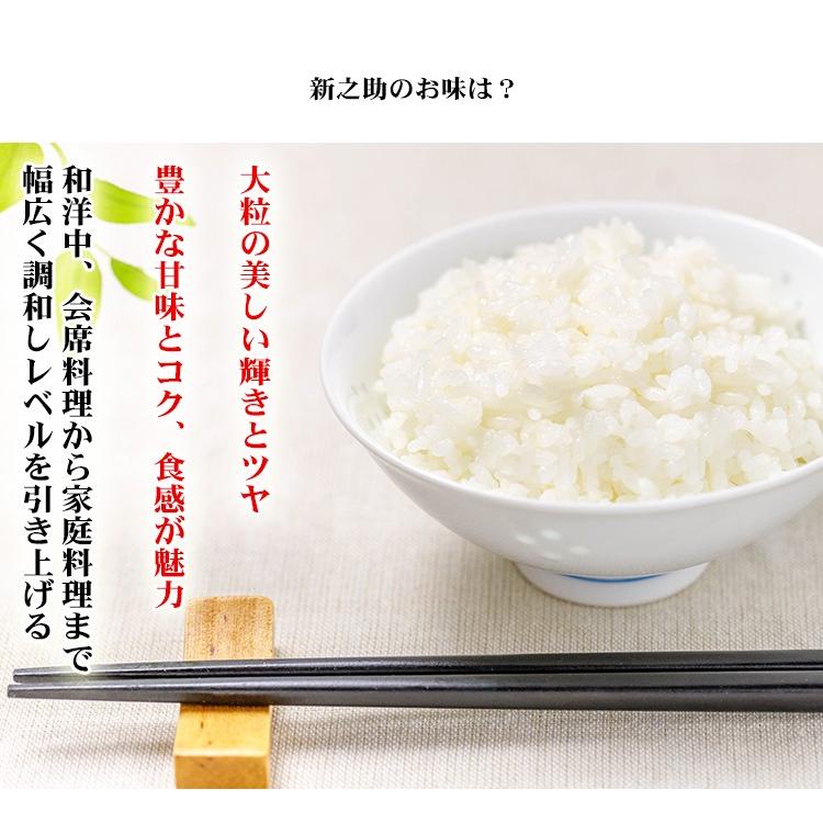 新米 無洗米 2kg 送料別 新之助 しんのすけ 新潟県産 令和5年産 1等米 米 2キロ お米 食品