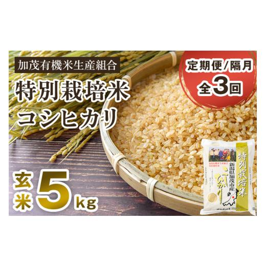 ふるさと納税 新潟県 加茂市 新潟県加茂市産 特別栽培米コシヒカリ 玄米5kg 従来品種コシヒカリ 加茂有機米生産組合