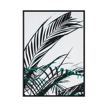 夏日清晨，植物藝術掛畫  40 x 30cm  黑色