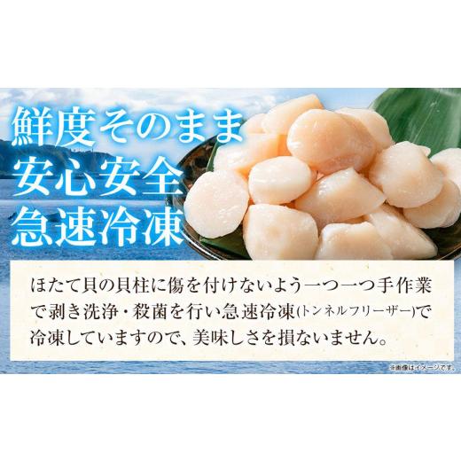 ふるさと納税 北海道 八雲町 急速冷凍ほたて貝柱　約500g×2袋 合計約1kg 【 ホタテ 大粒 北海道 貝柱 帆立 冷凍 刺身 海産物 魚介類 水産物応援 水産物支援 …