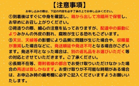 小夏 日向夏 5kg 訳あり 家庭用 大小混合品 2024年 4月より発送 みかん 柑橘 フルーツ 高知県 須崎市