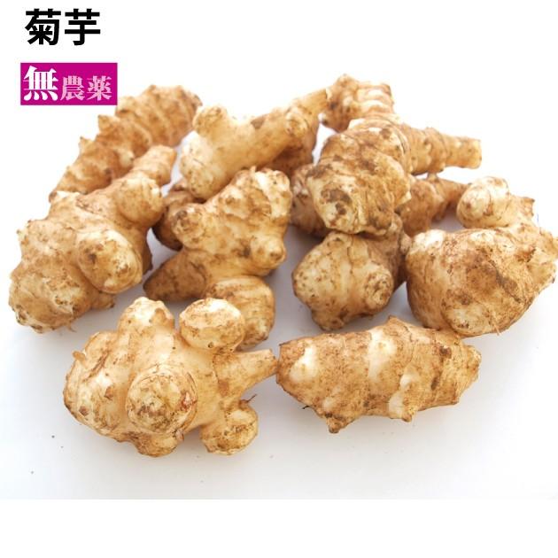 菊芋 きくいも 無農薬栽培 3kg 送料込