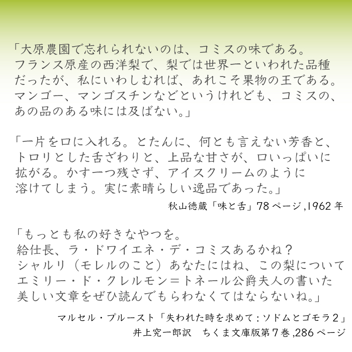 [予約 10月1日-10月15日の納品] 洋梨 ドワイアンヌ・デュ・コミス 約5kg 12-18玉 山形県産 秋ギフト 洋梨 山形県 ラフランス