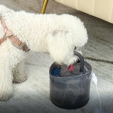 跨境貓咪飲水機寵物飲水器自動智能循環恒溫不插電USB款喂水器