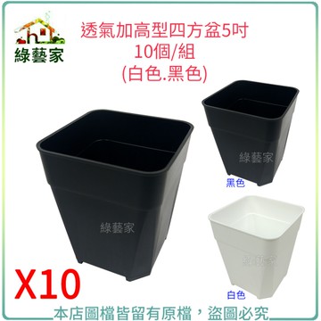 【綠藝家】透氣加高型四方盆5吋10個/組(黑色.白色共2色可選)