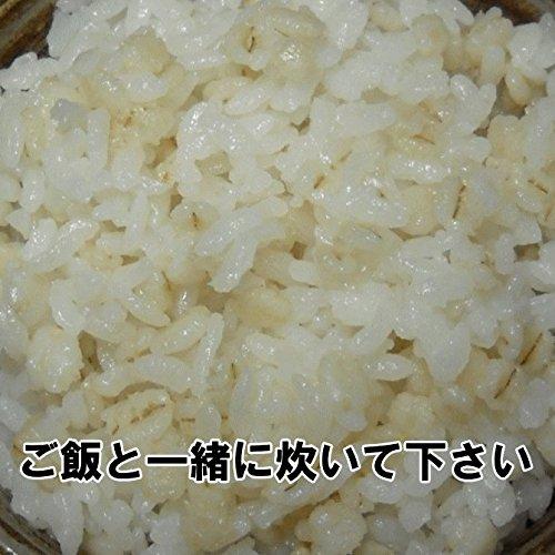 押麦450g ポスト投函専用 福岡県産 裸麦