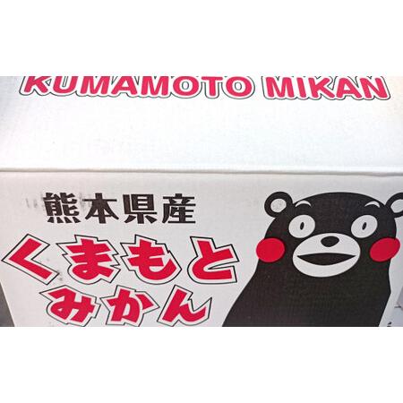 ふるさと納税  みかん 10kg (サイズ2L〜2S) 蜜柑 熊本県熊本市