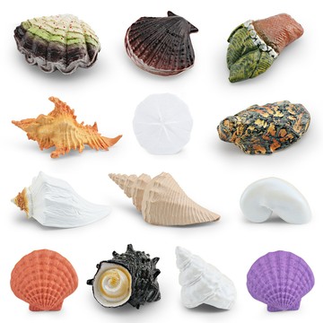 🌈「探夢動物模型」仿真花貝海螺哈喇扇貝生蠔龜足骨螺海洋生物模型貝殼裝飾擺件