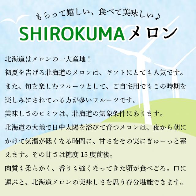 2024年 予約 メロン お中元 ギフト 送料無料 SHIROKUMA SWEET 北海道産 赤肉メロン 1玉入(約1.6kg 大玉 Lサイズ)   フルーツ