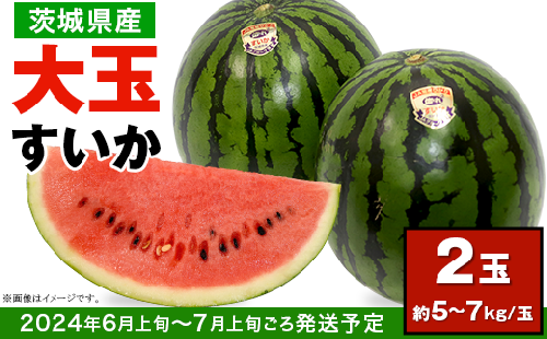 12-24茨城県産大玉すいか2玉セット（約5～7kg 玉）