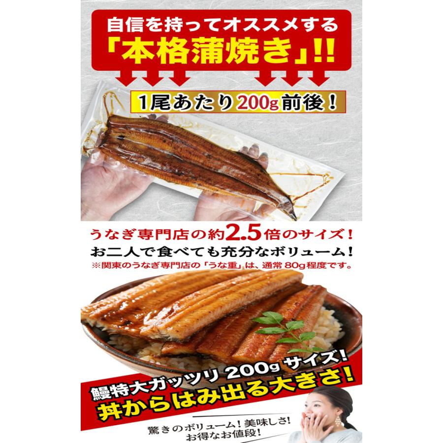 父の日 プレゼント ギフト うなぎ  食べ物 特大蒲焼き4本セット 約200g×4 ギフトBOX 送料無料 鹿児島産 プレゼント 60代 クール